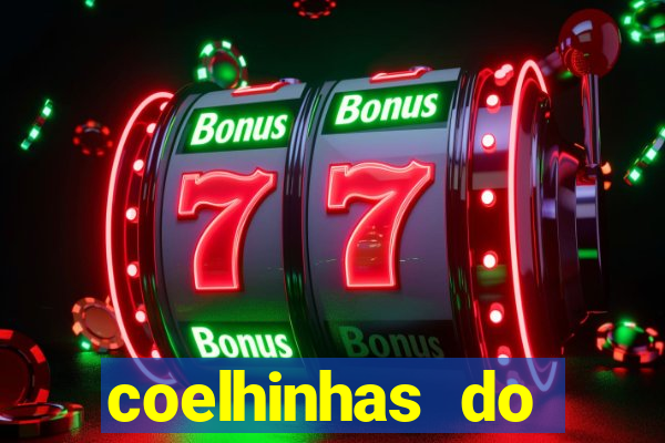 coelhinhas do brasil recife